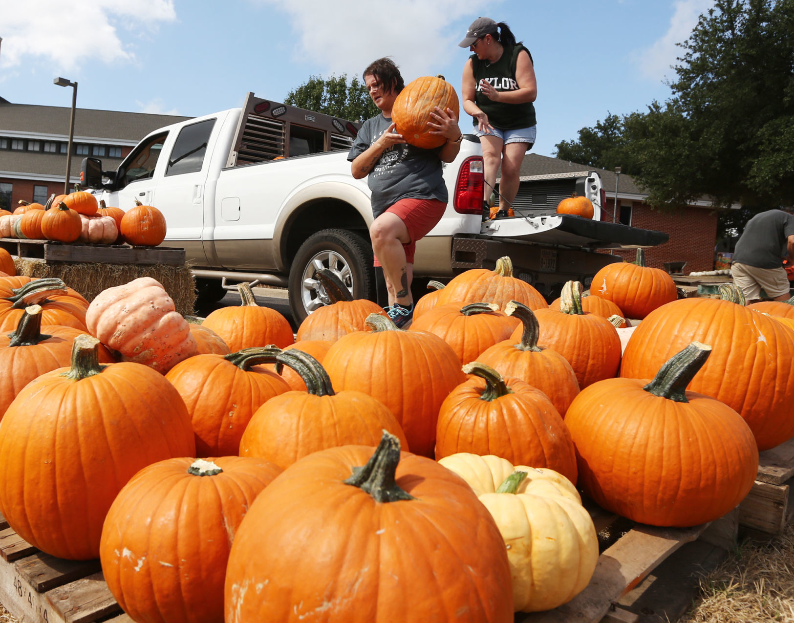 Central Christian pumpkins